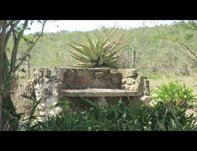 8HA FARM FOR SALE IN KOMGA